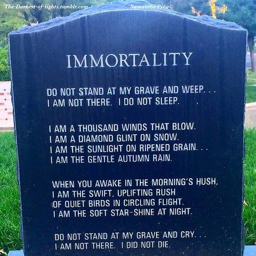 immortality.jpg